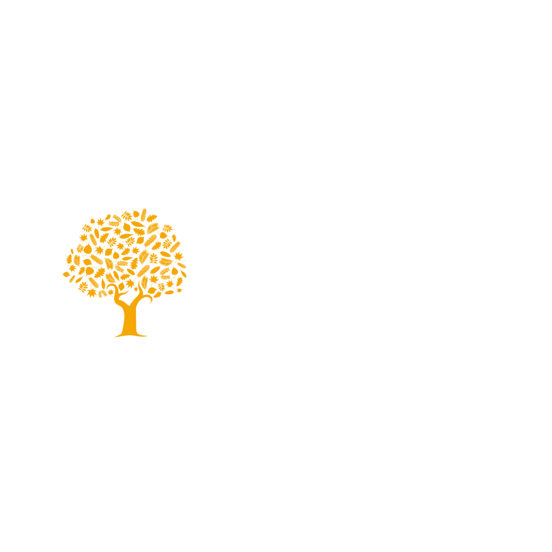 imgi_87_SOAS_White-scaled.png